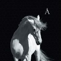АКВАРИУМ - Лошадь белая
