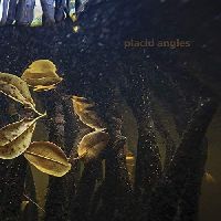 Angles, Placid - Touch The Earth