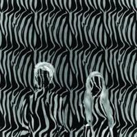 Beach House - Zebra