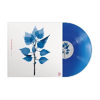 Berninger, Matt - Get Sunk (Translucent Cobalt Blue Vinyl)