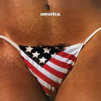 Black Crowes, The - Amorica
