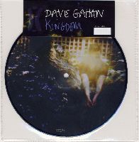 GAHAN, DAVE - Kingdom (Picture Disc)