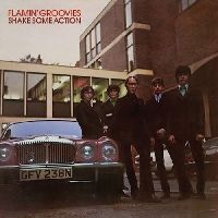 Flamin' Groovies, The - Shake Some Action