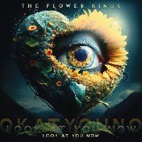 Flower Kings, The - Look At You Now (CD)
