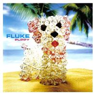 Fluke - Puppy