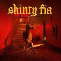 FONTAINES D.C. - Skinty Fia (Deluxe Edition)