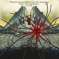 FUTURE SOUND OF LONDON, THE - My Kingdom