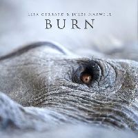 Gerrard, Lisa & Jules Maxwell - Burn (White Vinyl)