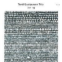 Gustavsen, Tord - Seeing