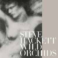HACKETT, STEVE - Wild Orchids