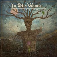 In The Woods - Diversum