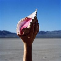 Killers, The - Wonderful Wonderful (CD)
