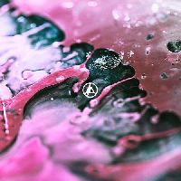 LINKIN PARK - From Zero (CD)