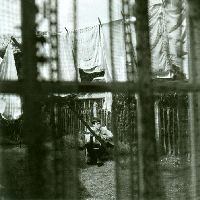 McCartney, Paul - Chaos And Creation In The Backyard