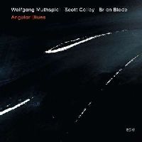 Muthspiel, Wolfgang & Colley, Scott & Blade, Brian - Angular Blues