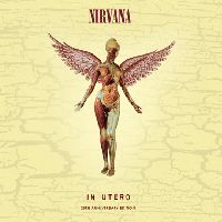 Nirvana - In Utero (CD, SUPER DELUXE BOX SET)