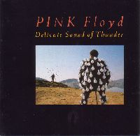 PINK FLOYD - DELICATE SOUND OF THUNDER - LIVE (CD)