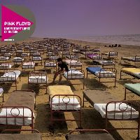 PINK FLOYD - A MOMENTARY LAPSE OF REASON (CD)