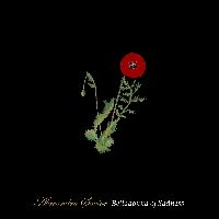 Savior, Alexandra - Belladonna of Sadness (CD)