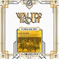 WALTER TROUT - Positively Beale Street