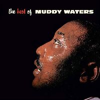 WATERS, MUDDY - The Best of Muddy Waters (Chess Records 75 Series)